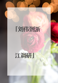 刘伟到浙江调研