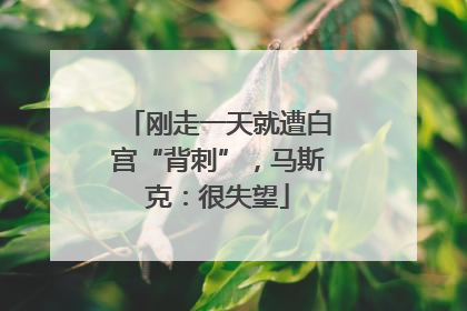 刚走一天就遭白宫“背刺”，马斯克：很失望