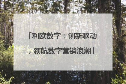 利欧数字：创新驱动，领航数字营销浪潮