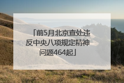 前5月北京查处违反中央八项规定精神问题464起