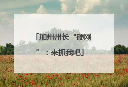加州州长“硬刚”：来抓我吧