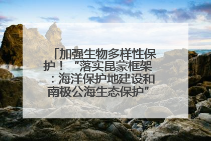 加强生物多样性保护！“落实昆蒙框架：海洋保护地建设和南极公海生态保护”主题论坛将举办
