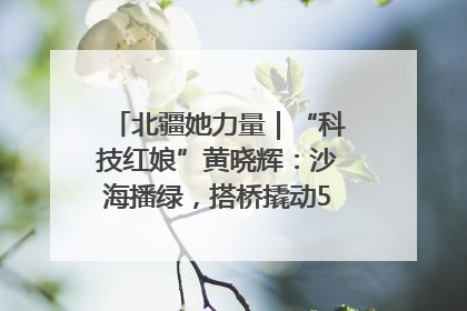 北疆她力量｜“科技红娘”黄晓辉：沙海播绿，搭桥撬动5.3亿研发