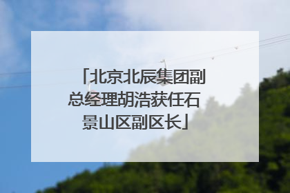 北京北辰集团副总经理胡浩获任石景山区副区长