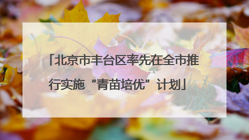北京市丰台区率先在全市推行实施“青苗培优”计划