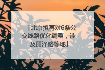 北京拟再对6条公交线路优化调整，涉及丽泽路等地
