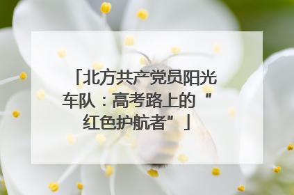 北方共产党员阳光车队：高考路上的“红色护航者”