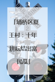 埇桥区夏王村：十年耕耘结出富民瓜