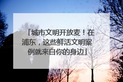 城市文明开放麦！在浦东，这些鲜活文明案例就来自你的身边