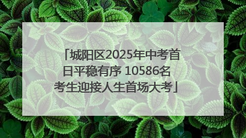 城阳区2025年中考首日平稳有序 10586名考生迎接人生首场大考