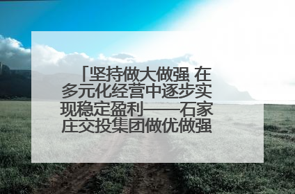 坚持做大做强 在多元化经营中逐步实现稳定盈利——石家庄交投集团做优做强典型报道之三