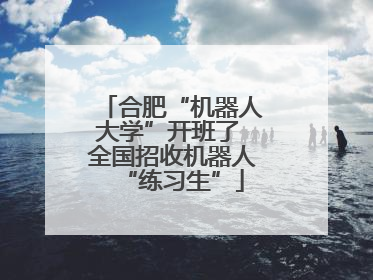 合肥“机器人大学”开班了 全国招收机器人“练习生”