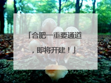 合肥一重要通道，即将开建！