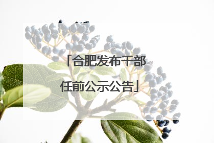 合肥发布干部任前公示公告