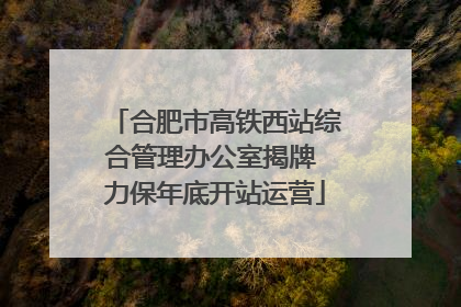 合肥市高铁西站综合管理办公室揭牌 力保年底开站运营
