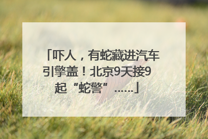 吓人，有蛇藏进汽车引擎盖！北京9天接9起“蛇警”……
