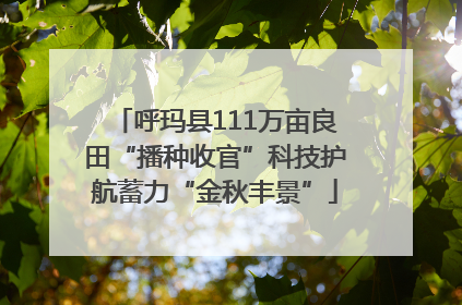 呼玛县111万亩良田“播种收官”科技护航蓄力“金秋丰景”