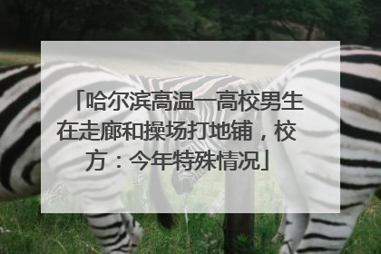 哈尔滨高温一高校男生在走廊和操场打地铺，校方：今年特殊情况