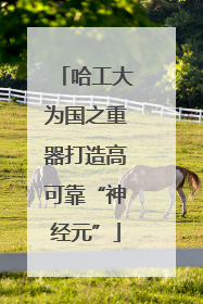 哈工大为国之重器打造高可靠“神经元”