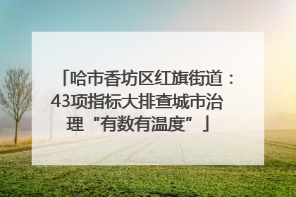 哈市香坊区红旗街道：43项指标大排查城市治理“有数有温度”