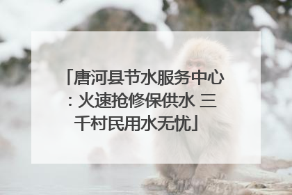 唐河县节水服务中心：火速抢修保供水 三千村民用水无忧