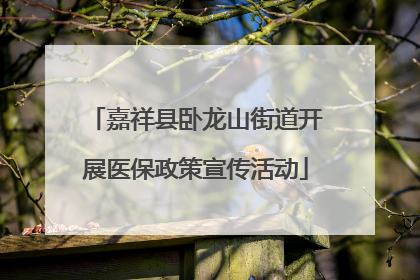 嘉祥县卧龙山街道开展医保政策宣传活动