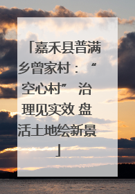 嘉禾县普满乡曾家村：“空心村” 治理见实效 盘活土地绘新景