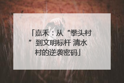 嘉禾：从“拳头村”到文明标杆 清水村的逆袭密码