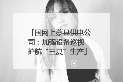 国网上蔡县供电公司：加强设备巡视 护航“三夏”生产