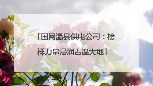 国网温县供电公司：榜样力量浸润古温大地