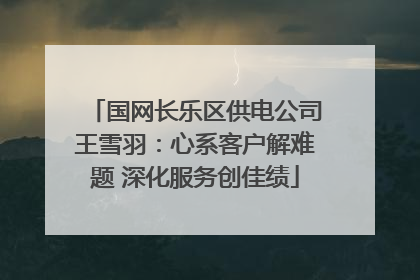 国网长乐区供电公司王雪羽：心系客户解难题 深化服务创佳绩