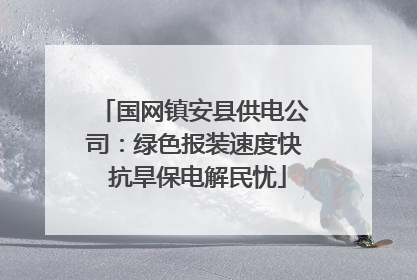 国网镇安县供电公司：绿色报装速度快 抗旱保电解民忧