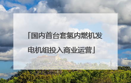 国内首台套氢内燃机发电机组投入商业运营
