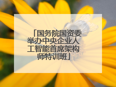 国务院国资委举办中央企业人工智能首席架构师特训班