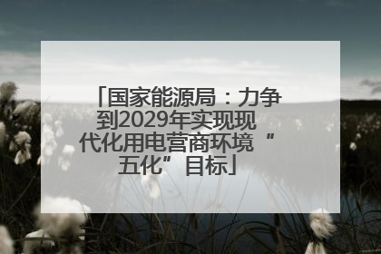 国家能源局：力争到2029年实现现代化用电营商环境“五化”目标