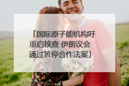 国际原子能机构吁重启核查 伊朗议会通过暂停合作法案
