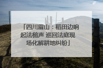 四川眉山：稻田边响起法槌声 巡回法庭现场化解耕地纠纷