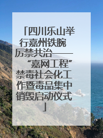 四川乐山举行嘉州铁腕 厉禁共治——“嘉网工程”禁毒社会化工作暨毒品集中销毁启动仪式