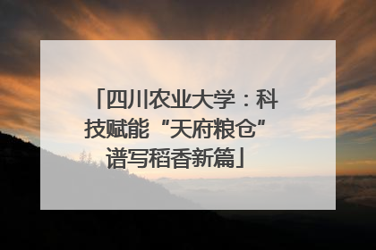 四川农业大学：科技赋能“天府粮仓”谱写稻香新篇