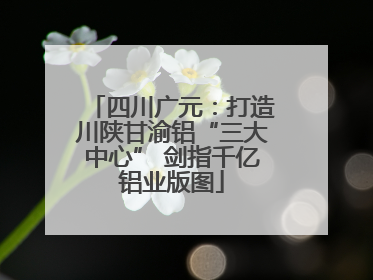 四川广元：打造川陕甘渝铝“三大中心” 剑指千亿铝业版图