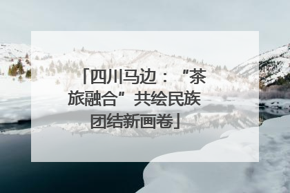四川马边：“茶旅融合”共绘民族团结新画卷