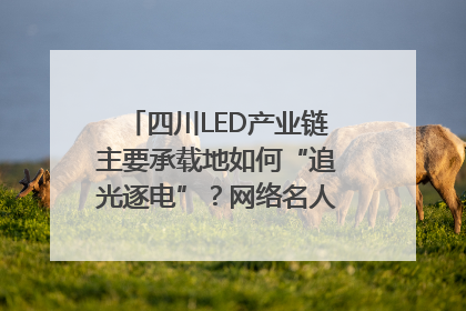 四川LED产业链主要承载地如何“追光逐电”？网络名人走进攀枝花找答案｜网络名人四川行