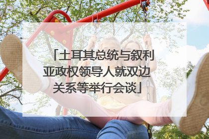 土耳其总统与叙利亚政权领导人就双边关系等举行会谈