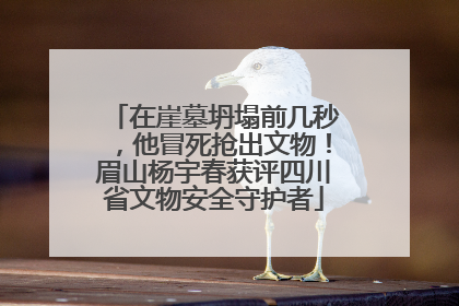 在崖墓坍塌前几秒，他冒死抢出文物！眉山杨宇春获评四川省文物安全守护者