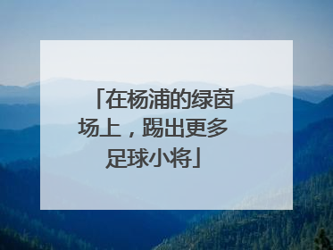 在杨浦的绿茵场上，踢出更多足球小将