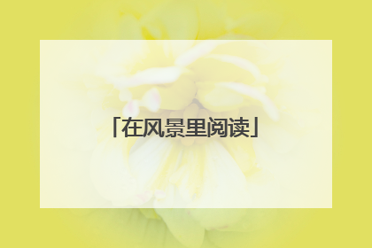 在风景里阅读