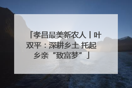孝昌最美新农人丨叶双平：深耕乡土 托起乡亲“致富梦”