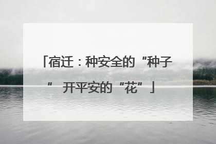 宿迁：种安全的“种子” 开平安的“花”