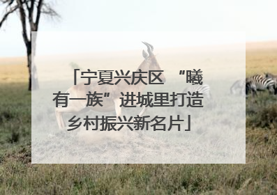 宁夏兴庆区 “曦有一族”进城里打造乡村振兴新名片