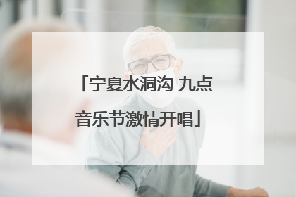 宁夏水洞沟 九点音乐节激情开唱